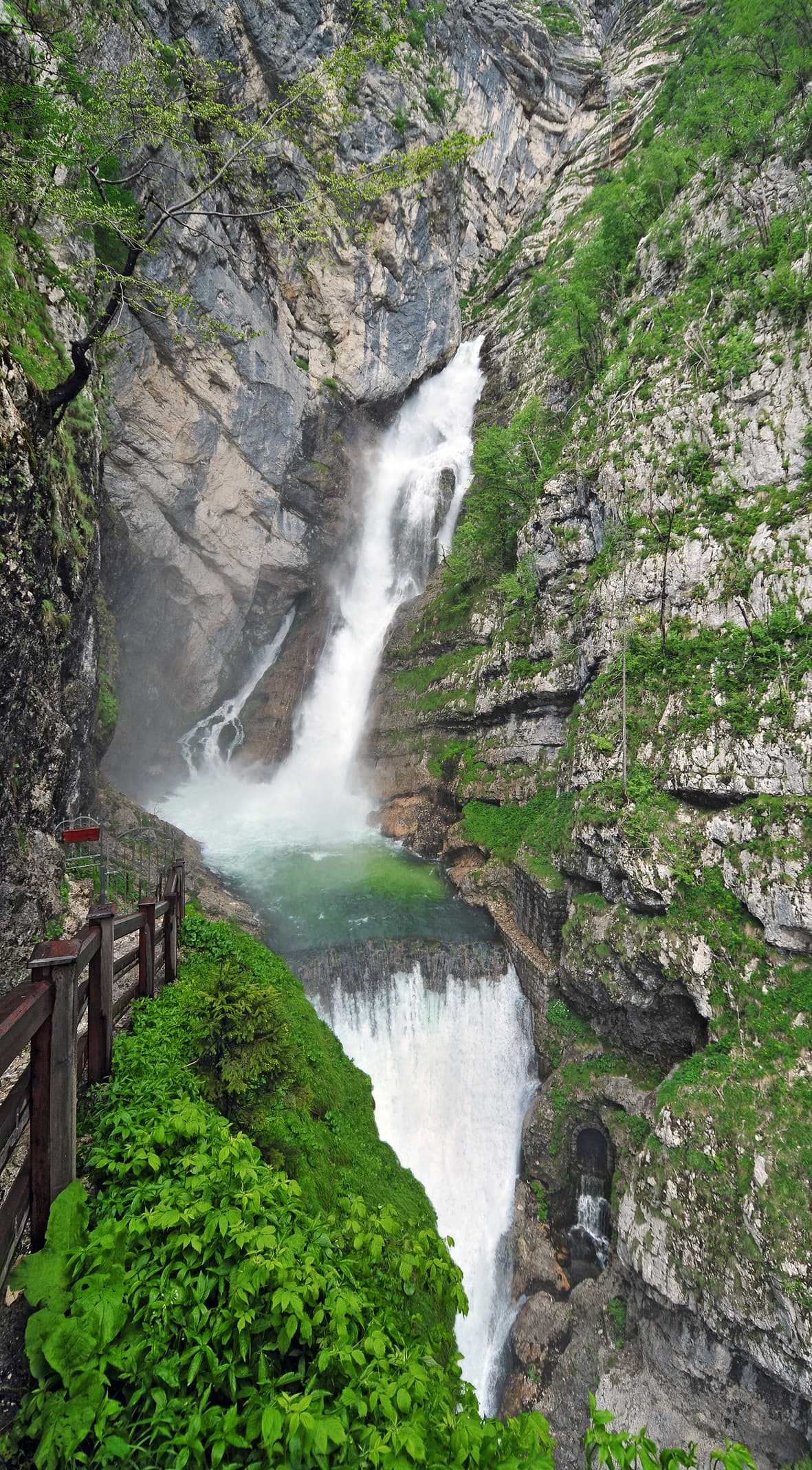 Savica Waterfall dropping into its pool in Triglav National Park